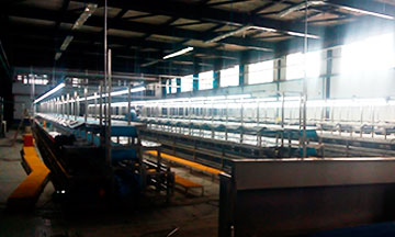 SIEMSAC Web